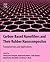 Carbon-Based Nanofillers an...