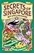 Secrets of Singapore by Lesley-Anne Tan