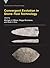 Convergent Evolution in Stone-Tool Technology by Michael J. O'Brien