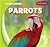 Parrots (Jungle Animals)