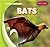 Bats (Jungle Animals)