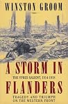 A Storm in Flande...