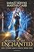 House of Enchanted: The Revelations of Oriceran (Soul Stone Mage, #1)