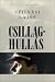 Csillaghullás by Lajos Szilvási