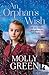 An Orphan’s Wish by Molly Green