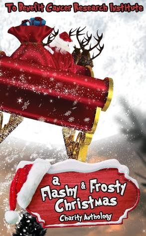 A Flashy & Frosty Christmas Charity Anthology