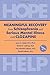 MEANINGFUL RECOVERY from Schizophrenia and Serious Mental Ill... by Robert S. Laitman