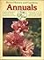 Annuals You Can Grow
