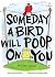 Someday a Bird Will Poop on You by Sue Salvi Someday a Bird Will Poop on You by Sue Salvi