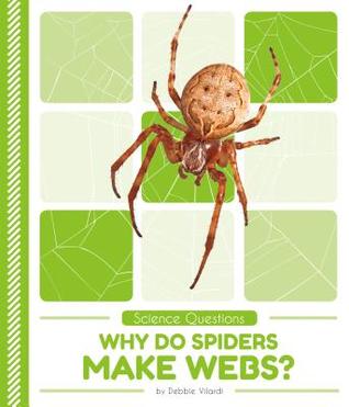 Why Do Spiders Make Webs? (Science Questions)