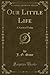 Our Little Life (Classic Reprint): A Novel of Today