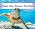Help the Green Turtles (Little Activists: Endangered Species)