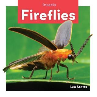 Fireflies (Insects )