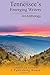 Tennessee's Emerging Writers by Z Publishing