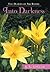 The Diaries of Abi Rhode by S L LeClair