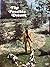 The Possible Dream by Wilt Chamberlain