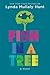 Fish in a Tree (Thorndike Press Large Print Mini-collections)