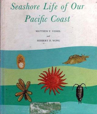 Seashore Life of Our Pacific Coast