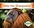 Help the Orangutans (Little Activists: Endangered Species)