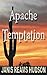 Apache Temptation (Apache-Colton Series Book 3)