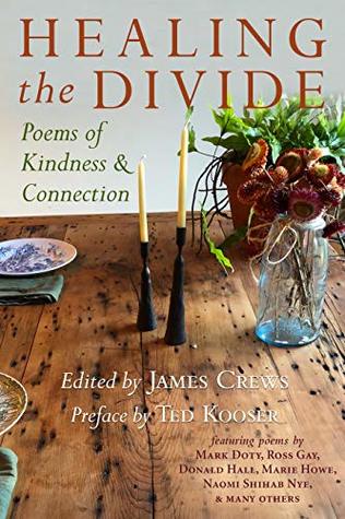 Healing the Divide: Poems of Kindness and Connection (Paperback)