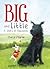 Big and Little: A Story of ...