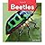 Beetles