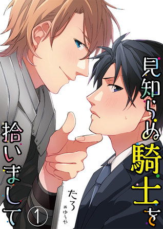 見知らぬ騎士を拾いまして。 (Webnovel)