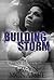 Building Storm (Hawke Famil...