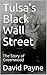 Tulsa's Black Wall Street by David  Payne