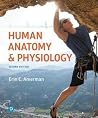 Human Anatomy & P...