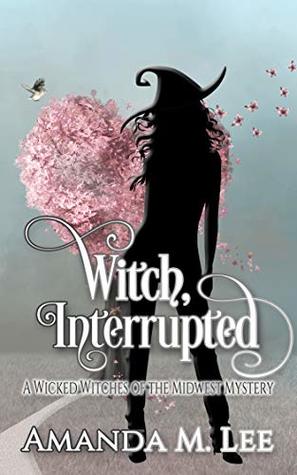 Witch, Interrupted (Wicked Witches of the Midwest, #13)