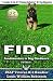 FIDO Fundamentals In Dog Obedience: USAF K-9 Handler Training Guide for Pet dogs