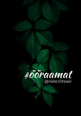 Ööraamat (Hardcover)
