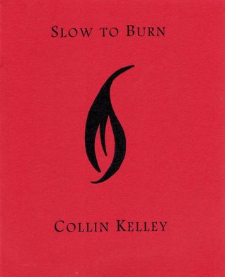 Slow To Burn (Paperback)