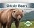 Grizzly Bears (Animals of North America)