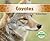 Coyotes (Animals of North America)