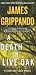 A Death in Live Oak (Jack Swyteck, #14)
