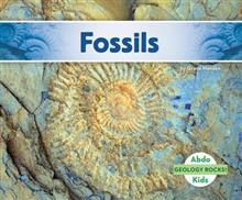 Fossils (Geology Rocks!)