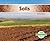 Soils (Geology Rocks!)
