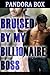 50 Shades of Gay: Bruised By My Billionaire Boss