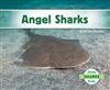 Angel Sharks