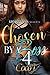 Chosen by a Boss 4