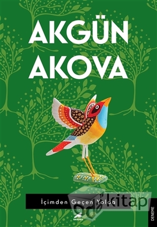 İçimden Geçen Yolda (Paperback)