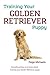 Training Your Golden Retriever Puppy: Everything there is to know about training your Golden Retriever puppy