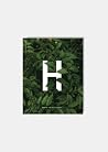 Hebrews: The Bett...