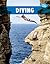 Diving (Wild Waters)
