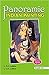 Panaromic Indian Painting C...