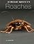 Roaches (Xtreme Insects)