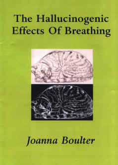 The Hallucinogenic Effects of Breathing (Paperback)